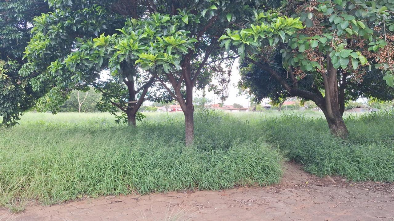 Foto 4 de 5 — Mesmo problema, outro local: moradores denunciam abandono de praça em Araraquara